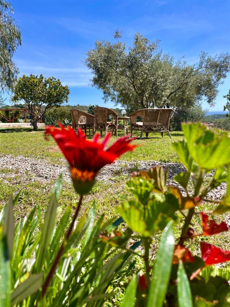 Agriturismo Domus de Goene - Zahrada, Loceri, Sardinie