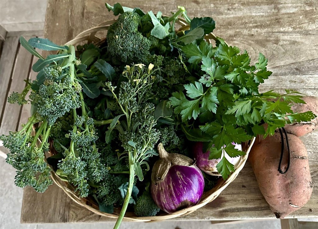 Cantos e Sonos - Zelenina přímo ze zahrady, Triei, Sardinie