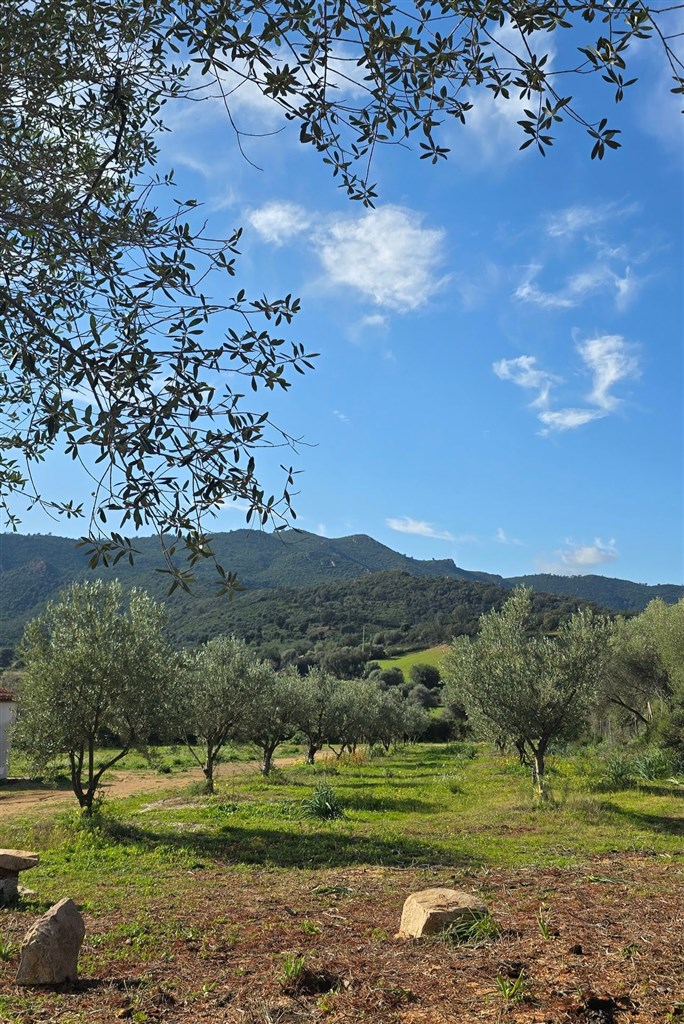 Cantos e Sonos - Okolí, Triei, Sardinie