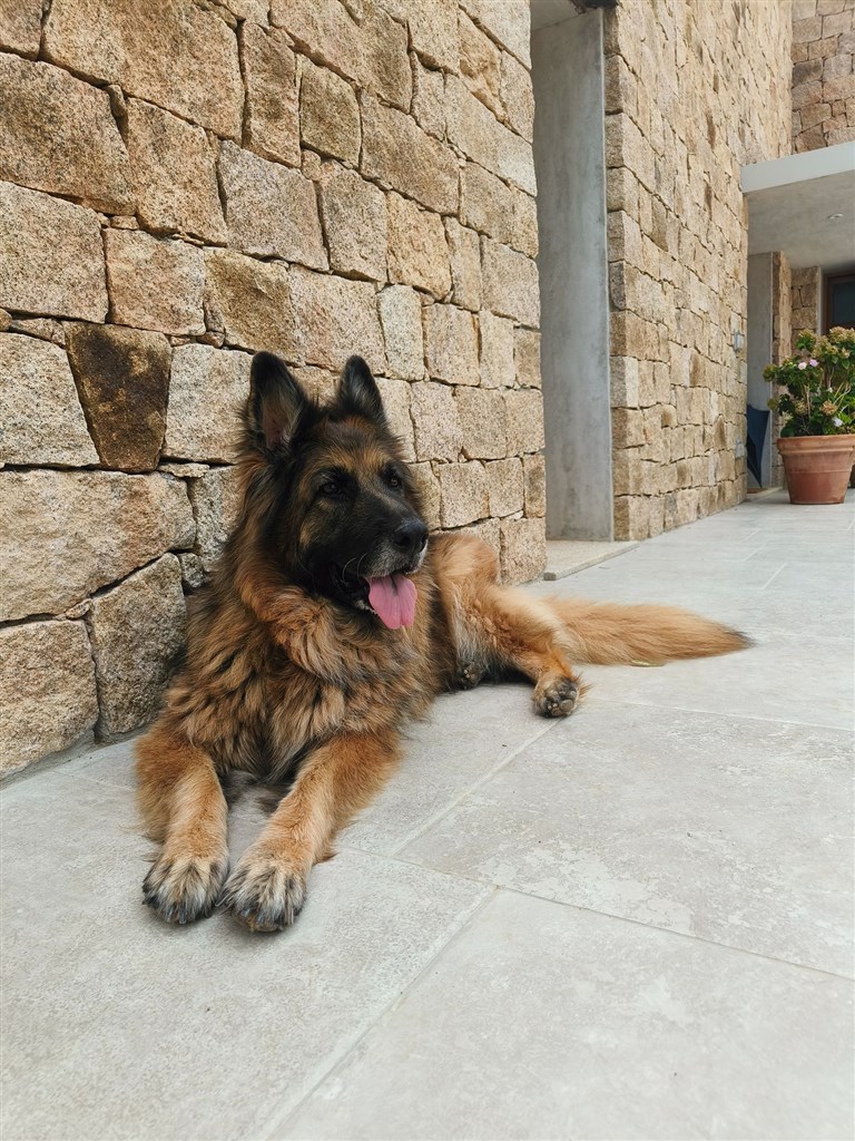 Cantos e Sonos - Místní hlídač, Triei, Sardinie