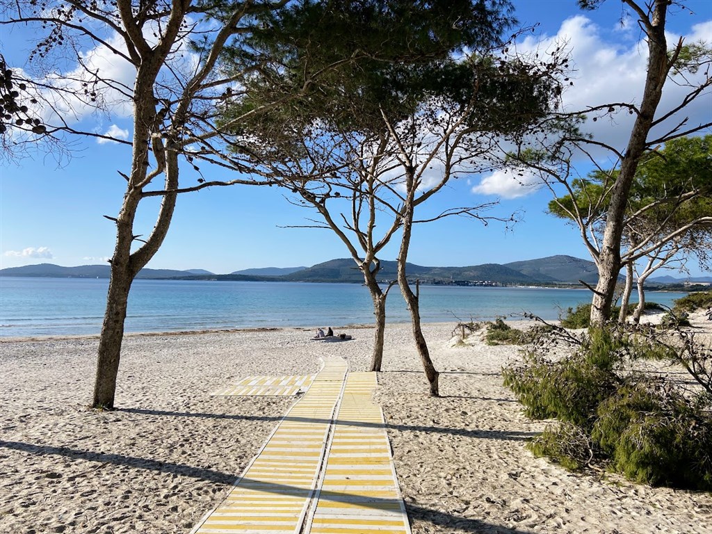 Rallye Italia Sardegna 2026