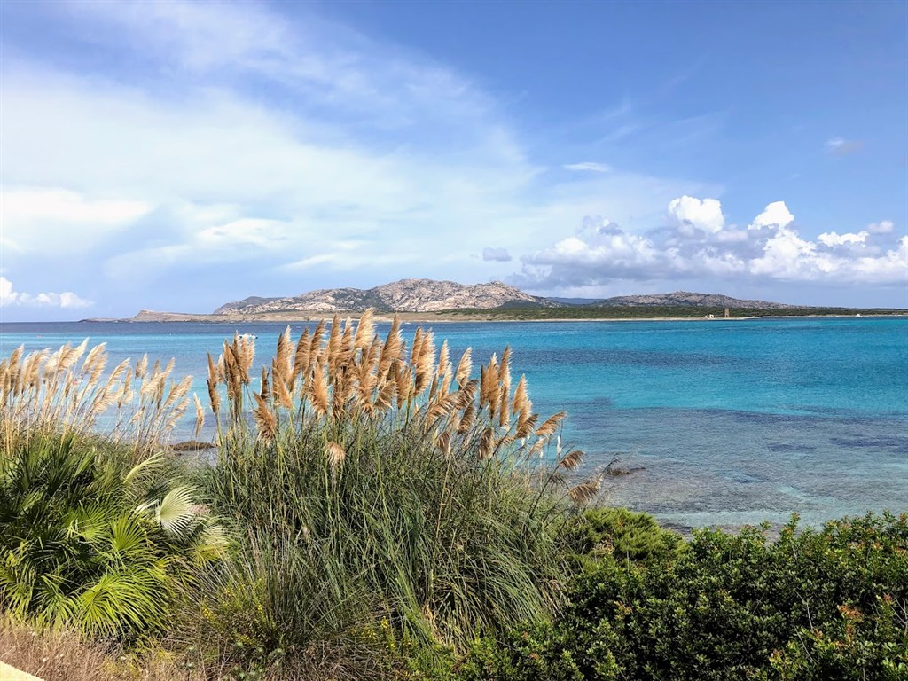 Rallye Italia Sardegna 2026