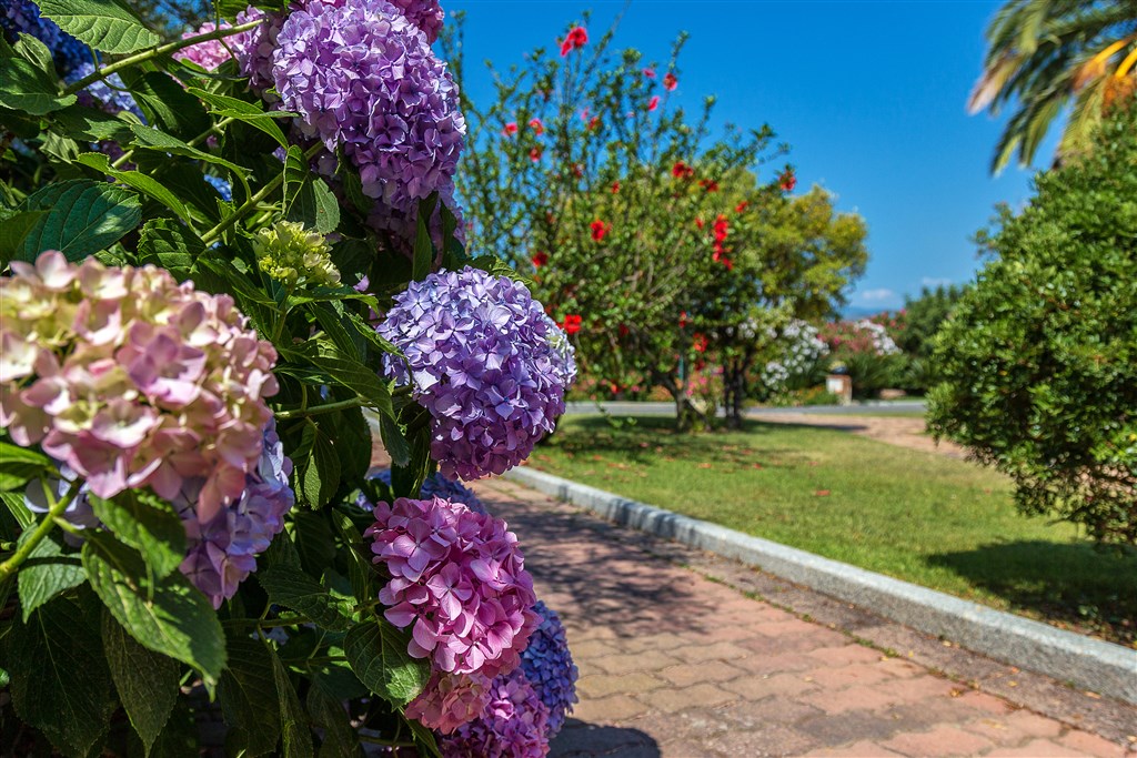 Hotel Club Saraceno - Venkovní prostory, Arbatax, Sardinie