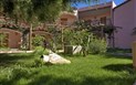 Resort Cala di Falco - Hotel - Hotelová zahrada, Cannigione, Sardinie
