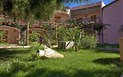 Resort Cala di Falco - Residence - Pohled na rezidenční pokoje, Cannigone, Sardinie