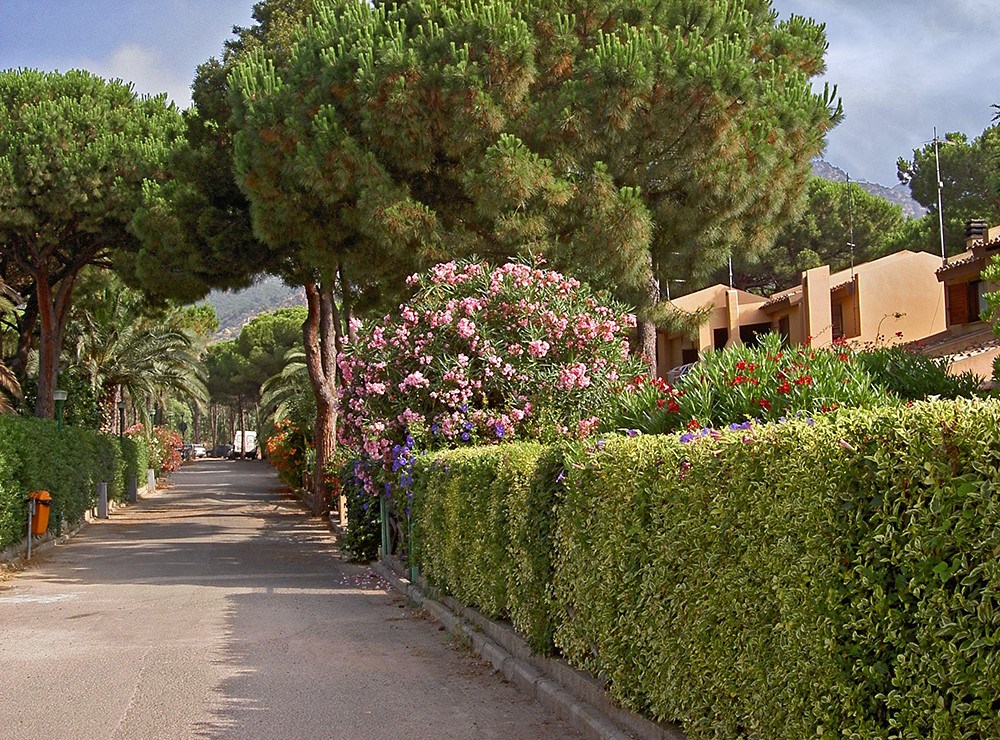 Exteriér, Santa Margherita di Pula, Sardinie