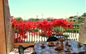 Residence Palm Village - Pohled z terasy apartmánu, Villasimius, Sardinie