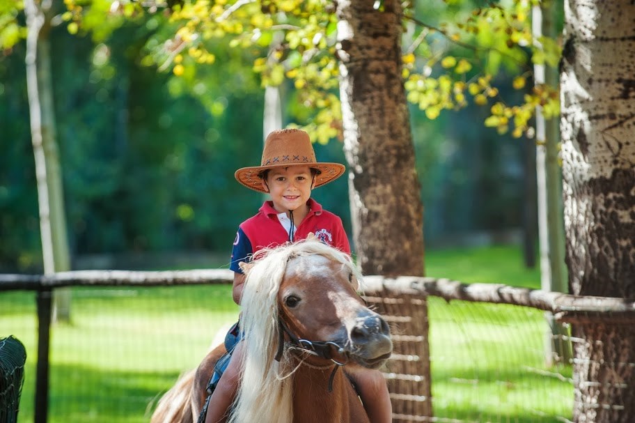 Mini farma, Maracalagonis, Sardinie