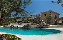 PULICINU - 