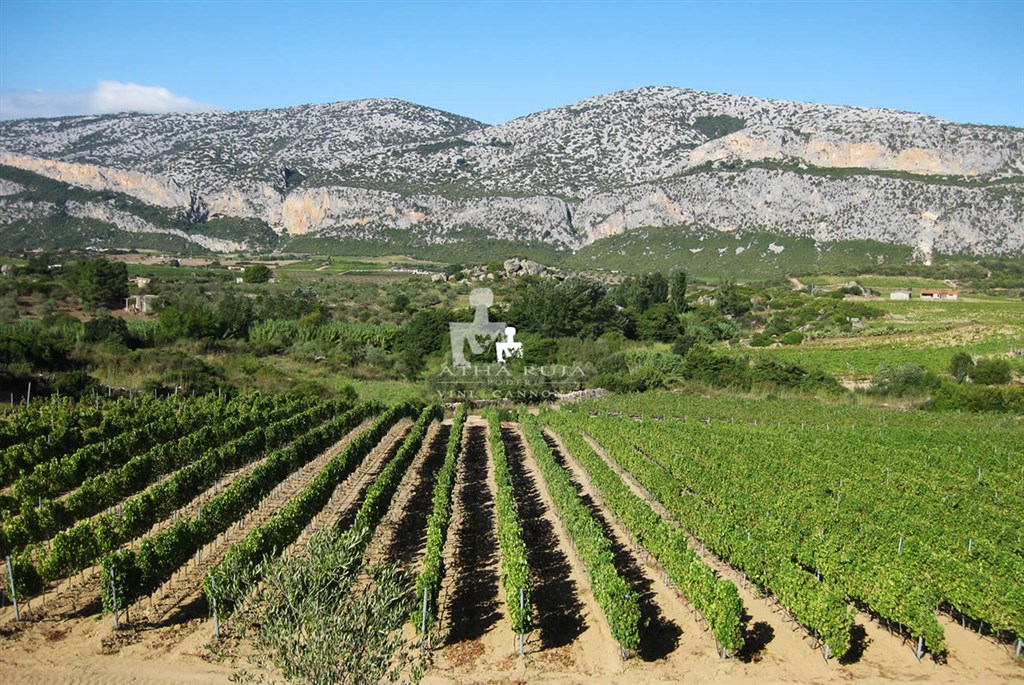 Vinice v okolí, Nuraghe Arvu, Sardinia